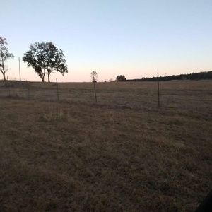 Meet your Posher, Garry